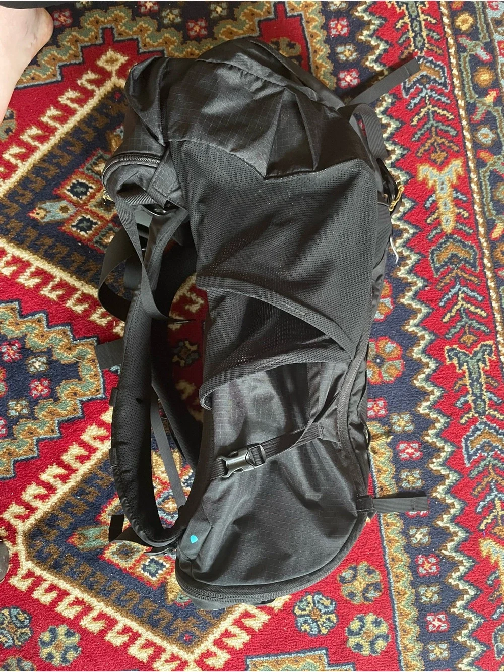 REI Trail 40